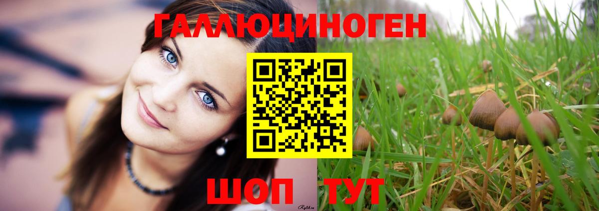Псилоцибиновые грибы прущие грибы  Псилоцибиновые грибы MAGIC MUSHROOMS  Вход с VPN  Киржач 